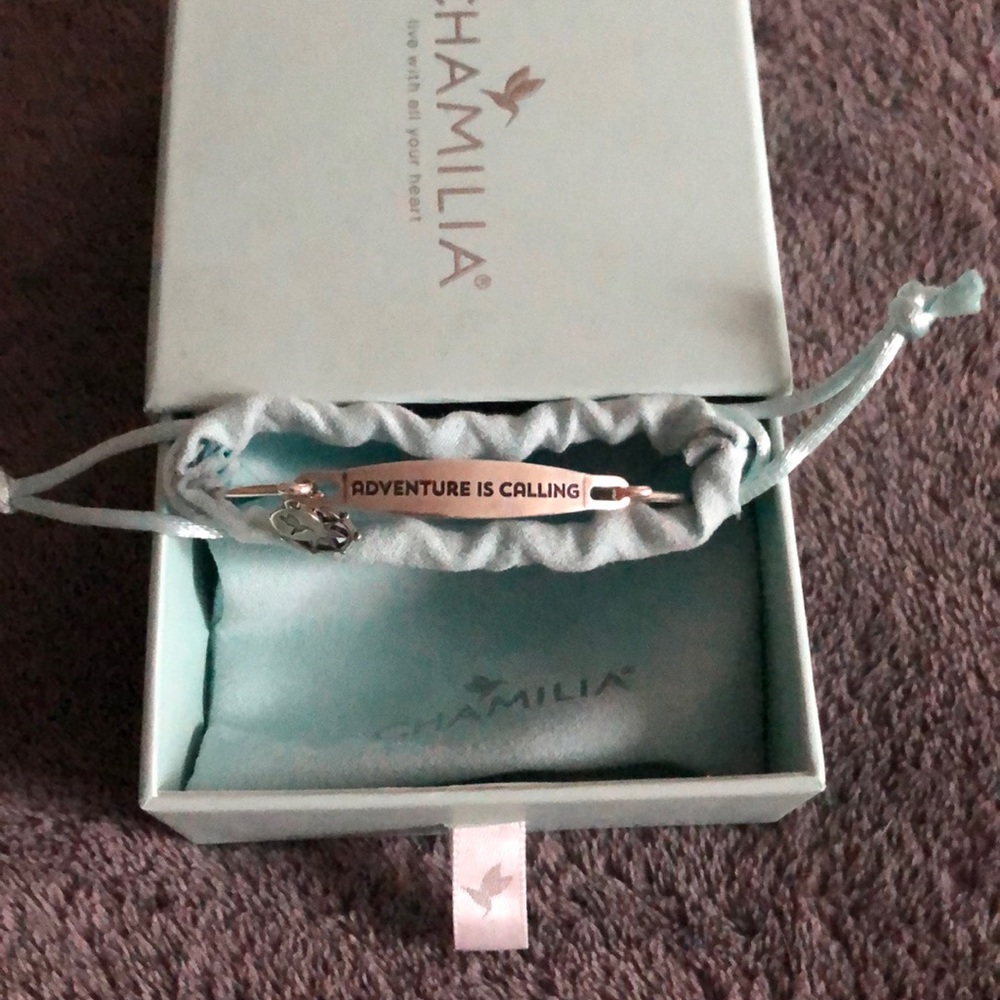 Chamilia spoken bracelet- NOT WORN
